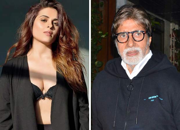 Anjana Sukhani ve Amitabh Bachchan'ın bir reklam çekimindeki nazik anı.