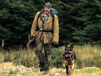 Brad Pitt shares adorable BTS moment with Canine co-star from Heart of the Beast on International Dog Day 2026 Brad Pitt shares adorable BTS moment with Canine co-star from Heart of the Beast on International Dog Day 2026