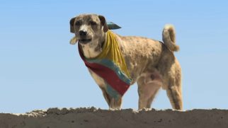Ohh My Dog – Title Track | Aman Pant | Moksh Pant | Prashant Sishodia