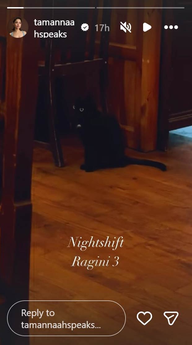Tamannaah Bhatia spots a black cat during Ragini 3 night shoot; shares glimpse from the horror film set