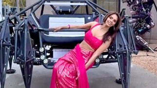 Mallika Sherawat showing her playful side in a striking pink saree