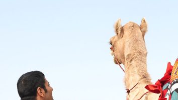 Mirzapur – The Movie