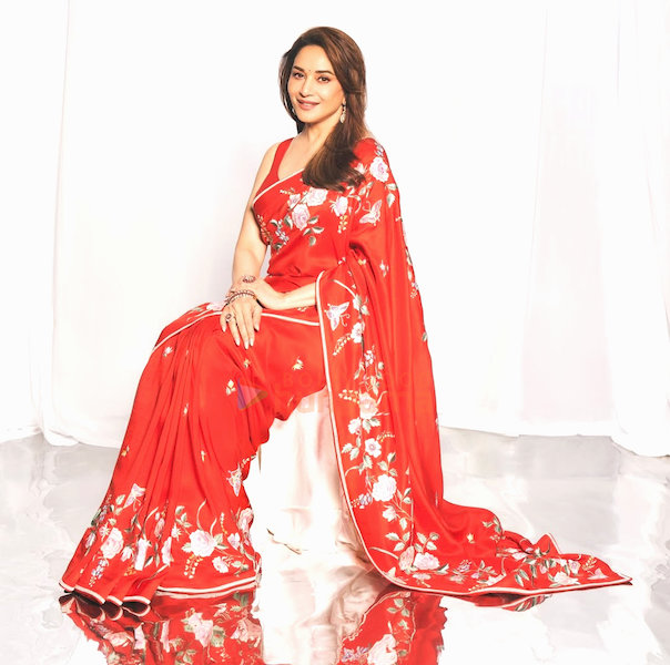madhuri dixit 2 102