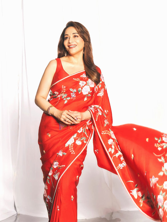 madhuri dixit 3 81