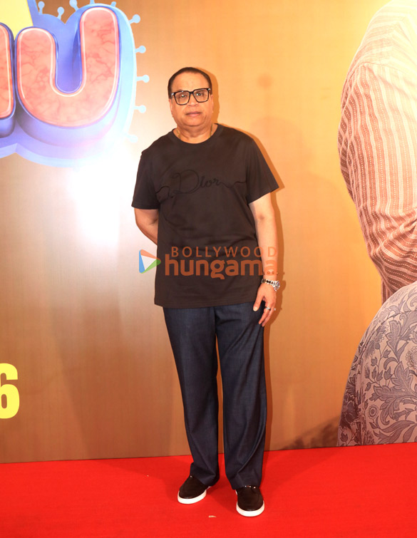 photos salman khan raveena tandon and others attend the special screening of veer pahariyas film prem keetanu 19